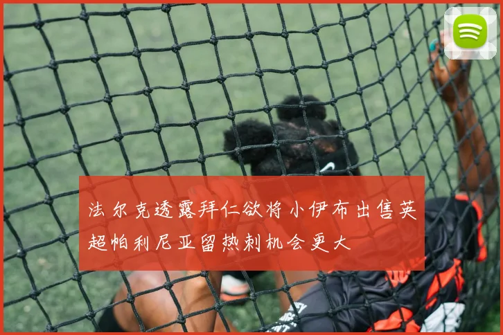 法尔克透露拜仁欲将小伊布出售英超帕利尼亚留热刺机会更大