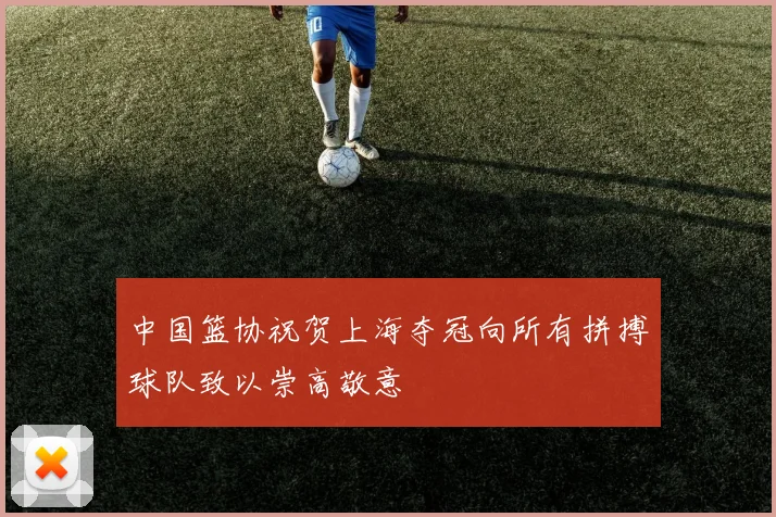 中国篮协祝贺上海夺冠向所有拼搏球队致以崇高敬意