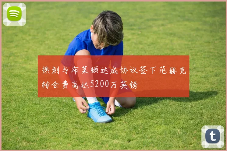 热刺与布莱顿达成协议签下范赫克转会费高达5200万英镑