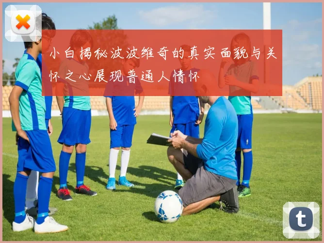 小白揭秘波波维奇的真实面貌与关怀之心展现普通人情怀
